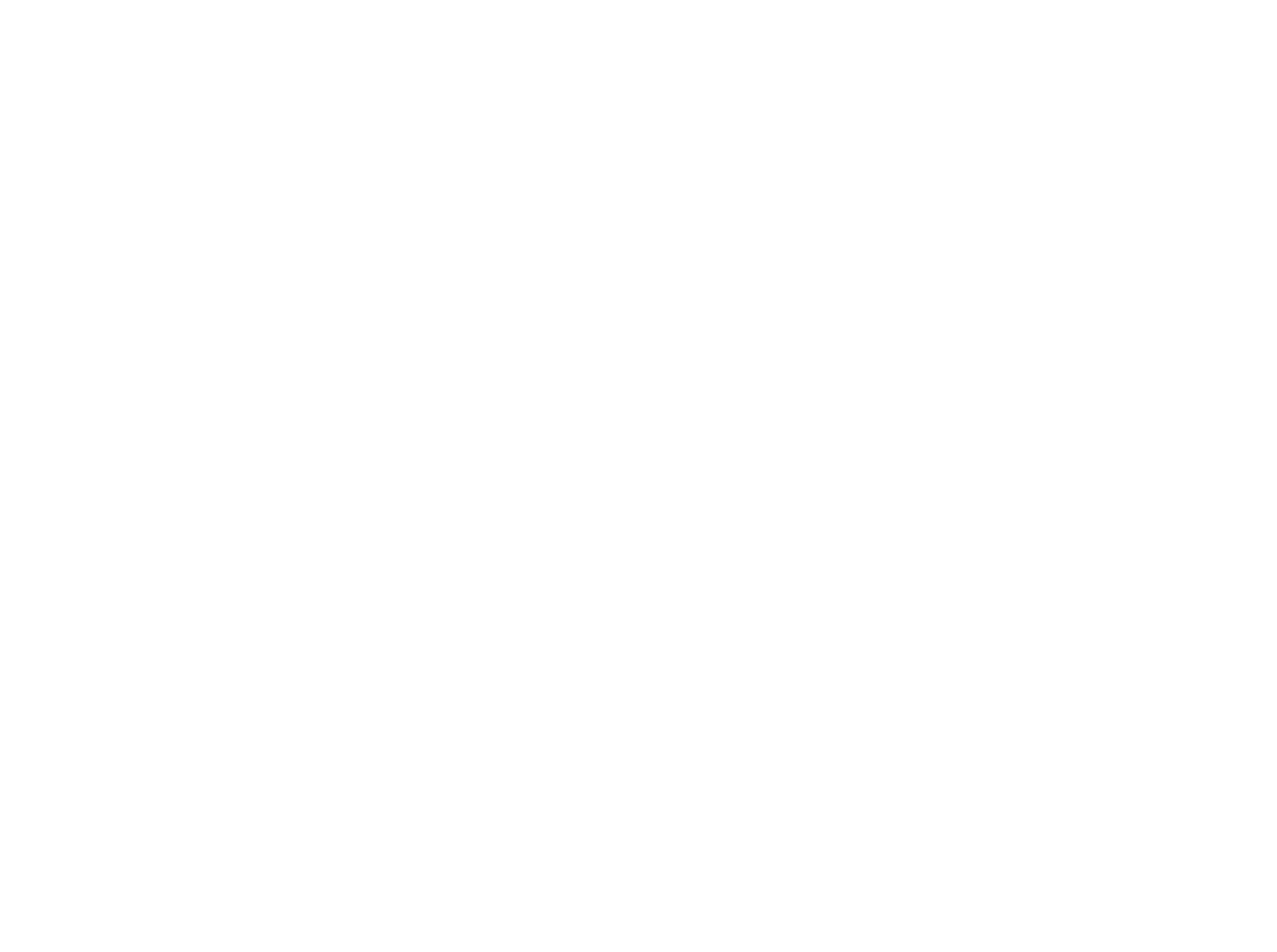 Mirzaam Logo